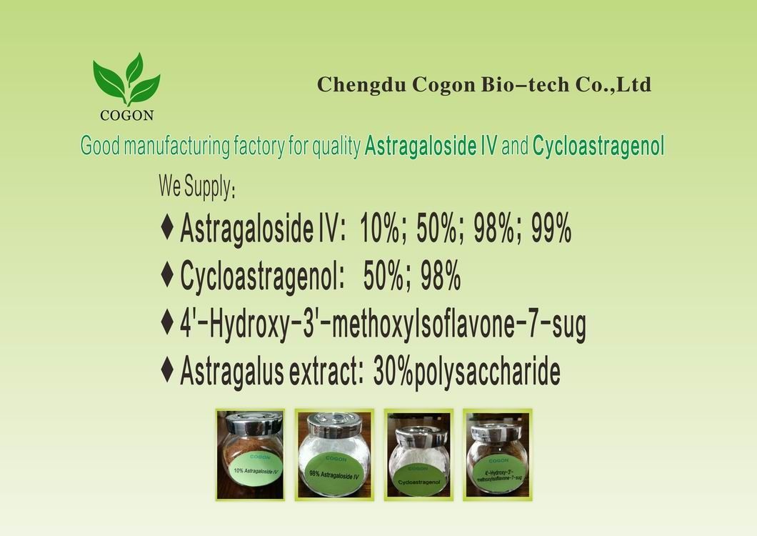 Wie Pb Hektogramm 0,5 PPM-Astragal-Wurzel-Auszug Telomerase-Aktivator-Weiß-Pulver